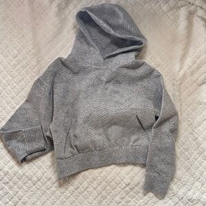 Nike Therma-fit Gray Hooded Sweatshirt